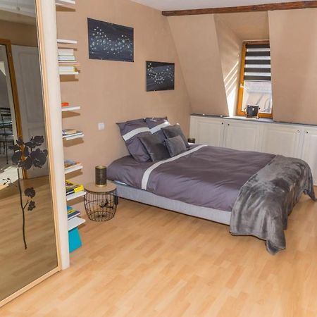 Charmant Appartement Alsacien 希伯维列 外观 照片