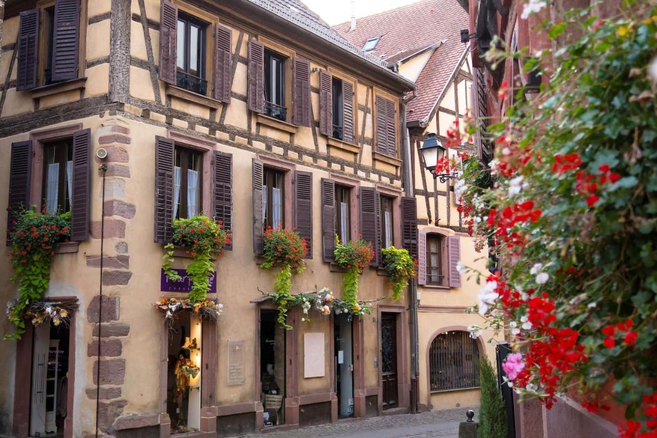 Charmant Appartement Alsacien 希伯维列 外观 照片