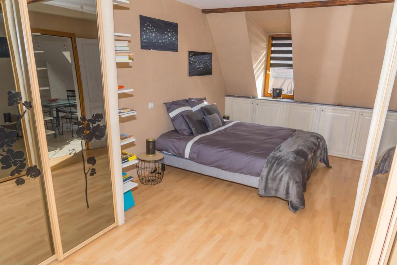 Charmant Appartement Alsacien 希伯维列 外观 照片