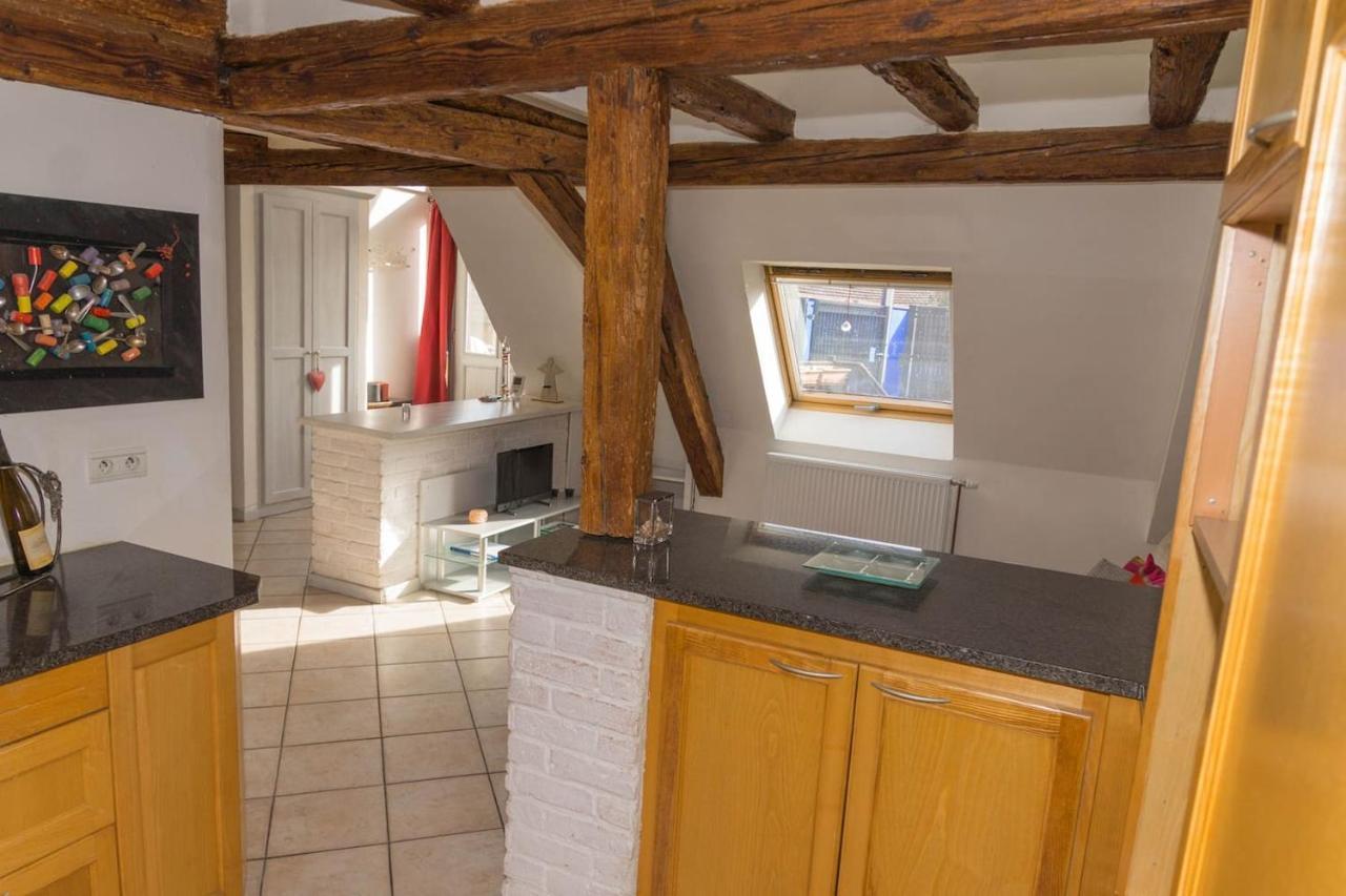 Charmant Appartement Alsacien 希伯维列 外观 照片
