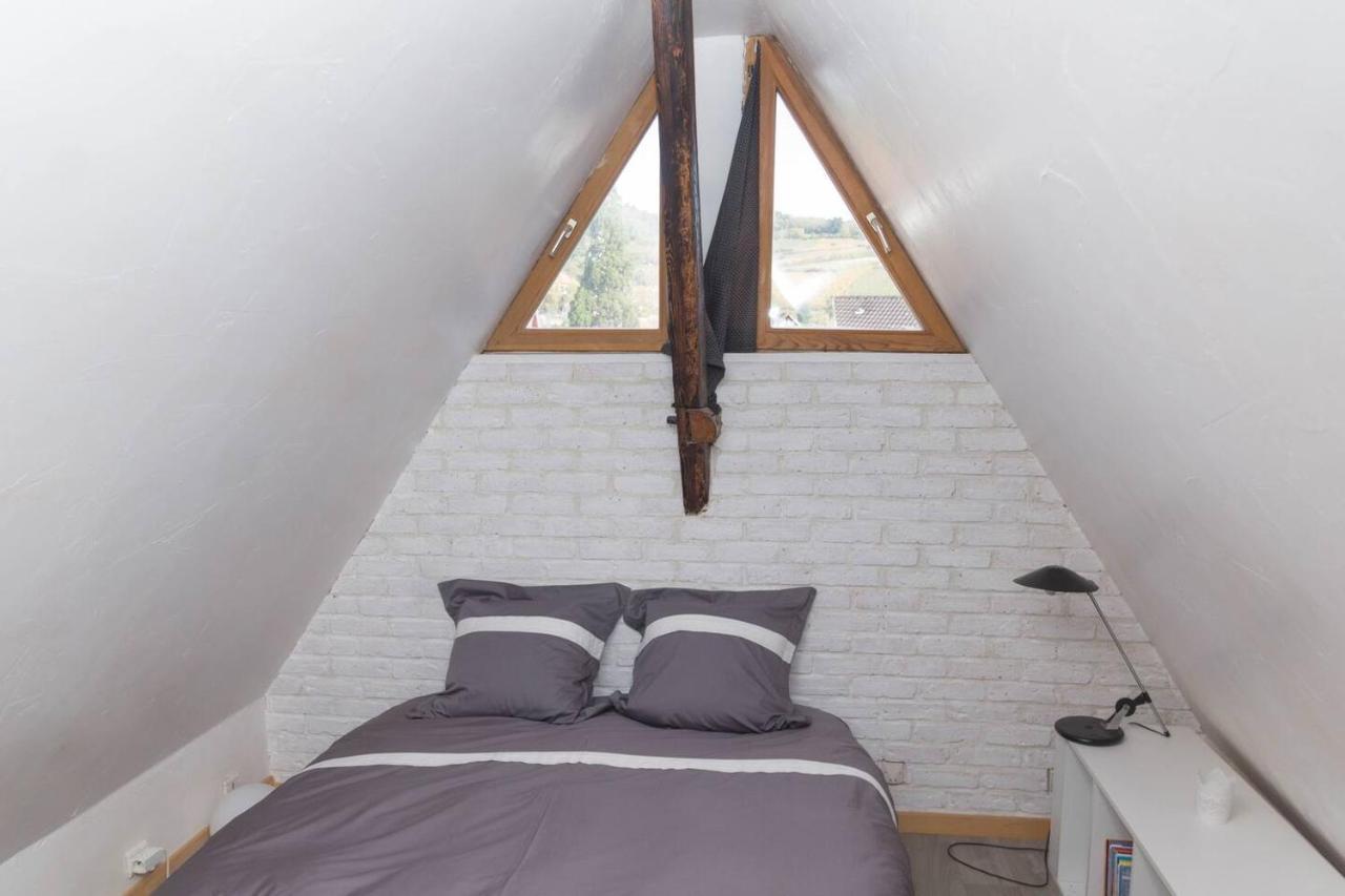 Charmant Appartement Alsacien 希伯维列 外观 照片